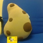 cuscino biscotto