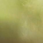 pittura decorativa oikos raffaello madreperlato l'arte del decoro san filippo del mela messina sicilia ristrutturazione casa interni esterni decorazioni design