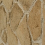 cbr_2464